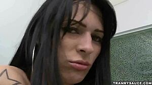 Busty brunette shemale babe tugging her cock solo 😏