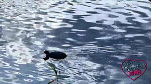 Stella the Naughty French Nurse Enjoys Anal Sex