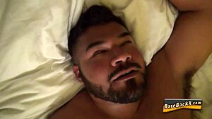 Beruang gay panas bareback kuat aksi kumpulan liar!