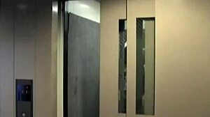 Asian Maid Pleasured In Hotel Room