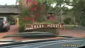 Busty African Babe Receives Massive Cumshot Outdoors