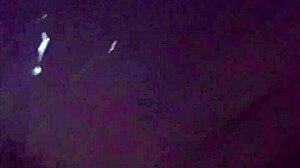 CURIOUS BIRTHDAY CELEBRATION WITH NAKED GUESTS