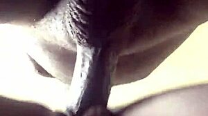 ace boogie shows tight pussy and wet ass