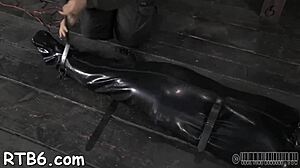 Hotty Receives A Neck Collar And Legs Widen Wide Open