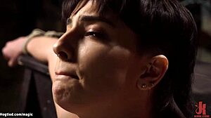 Hairy Pussy Beauty Bound and Tormented in Kinky Scene