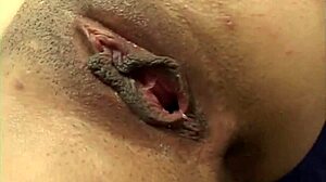 Latina tranny asks, Wanna see me take that black hood guy?