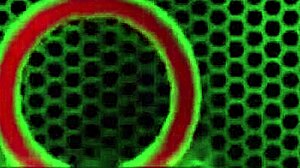 Latina gabby quinteros fingers mature pussy