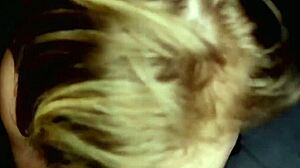 lexi davis rough pov fucking and sucking cock