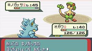 Kaikki Pokémonit ilmestyy Safiirissa osa 12