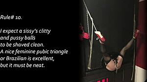 Watch this sissy get trained in anal assfucking with a small cock in a cage during holiday!