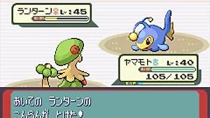 ポケモン全種サファイアパート12乱交