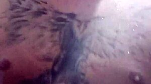 Come here, you curvy pornstar, for me to slap my dick on your face!