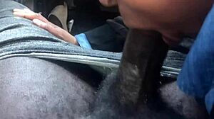 blonde girl sucks big black cock in part two