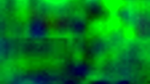 Amateur Latina Bent Over in Doggystyle