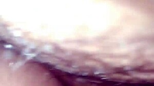 La zorrita de la villa explores neighborhood adventures