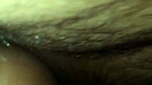 La zorrita de la villa explores neighborhood adventures