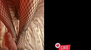 i asked my friend for big dick feet in pantyhose. she stroked it slowly with her toes.