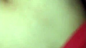 La zorrita de la villa explores neighborhood adventures