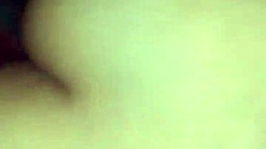 La zorrita de la villa explores neighborhood adventures