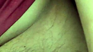 La zorrita de la villa explores neighborhood adventures