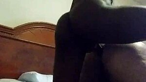 Black shemale pound lataino