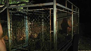 Blonde slave freed from cage? Ready for kinky pleasure now?