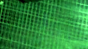 わー、彼女のフェラスキルはただただすごい！