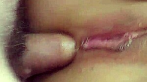 i asked my stepmother to suck my cock and fuck her ass