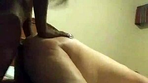 Black shemale pound lataino