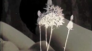 Vintage Silent Films of Secret Lives