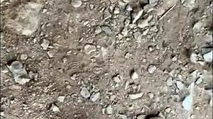 in this homemade compilation, amateurs squirt and cum in doggystyle