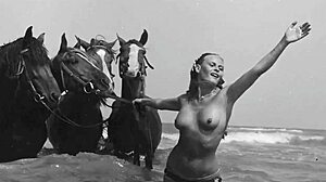 Non ci credo a queste confessioni retro con fantasie animali