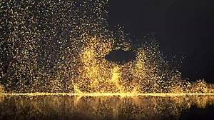 Hot Latina Teen Ass Fucked Chained BDSM Deep Throat POV Vegas