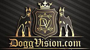 hot wives indulge in interracial blowbang party with big black cocks