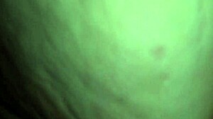 homemade amateurs like megan adele rides cock in reverse cowgirl position