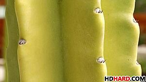 Maddy O'Reilly and Lily Love teasing 😏