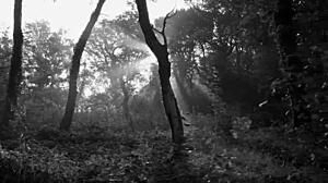 Chic Chick Picks Up Ride