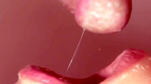 Amateur college girl in costumes seeks attention in freebie part 1