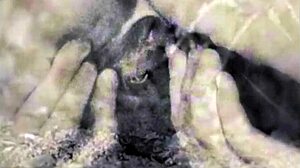 Wow, vintage 18+ hairy teen porn!