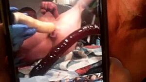 solo jacking with anal toys