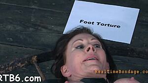 damn, watch these sweet slaves take hawt pain in tight holes!