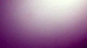 Chloe Temple Pussy Pounded By Big Dick Allen Swift