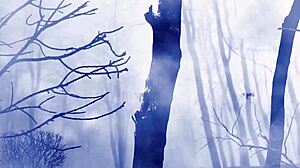 Italian Horror Trailer And Interview