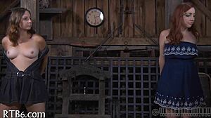 Four Gals Inside Tiny Cage