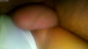 This Mexican prostitute in cat lingerie gets a bareback anal pounding.