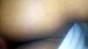 This Mexican prostitute in cat lingerie gets a bareback anal pounding.