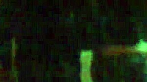 Spying on the Peruvian scene