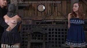 Four Gals Inside Tiny Cage