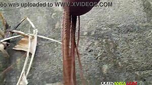 december, stunning queen anita, wanna relive that hot ebony doggystyle memory?