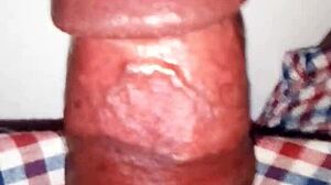 damn, check this huge cock out